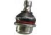 Ball Joint:HB-002-0763